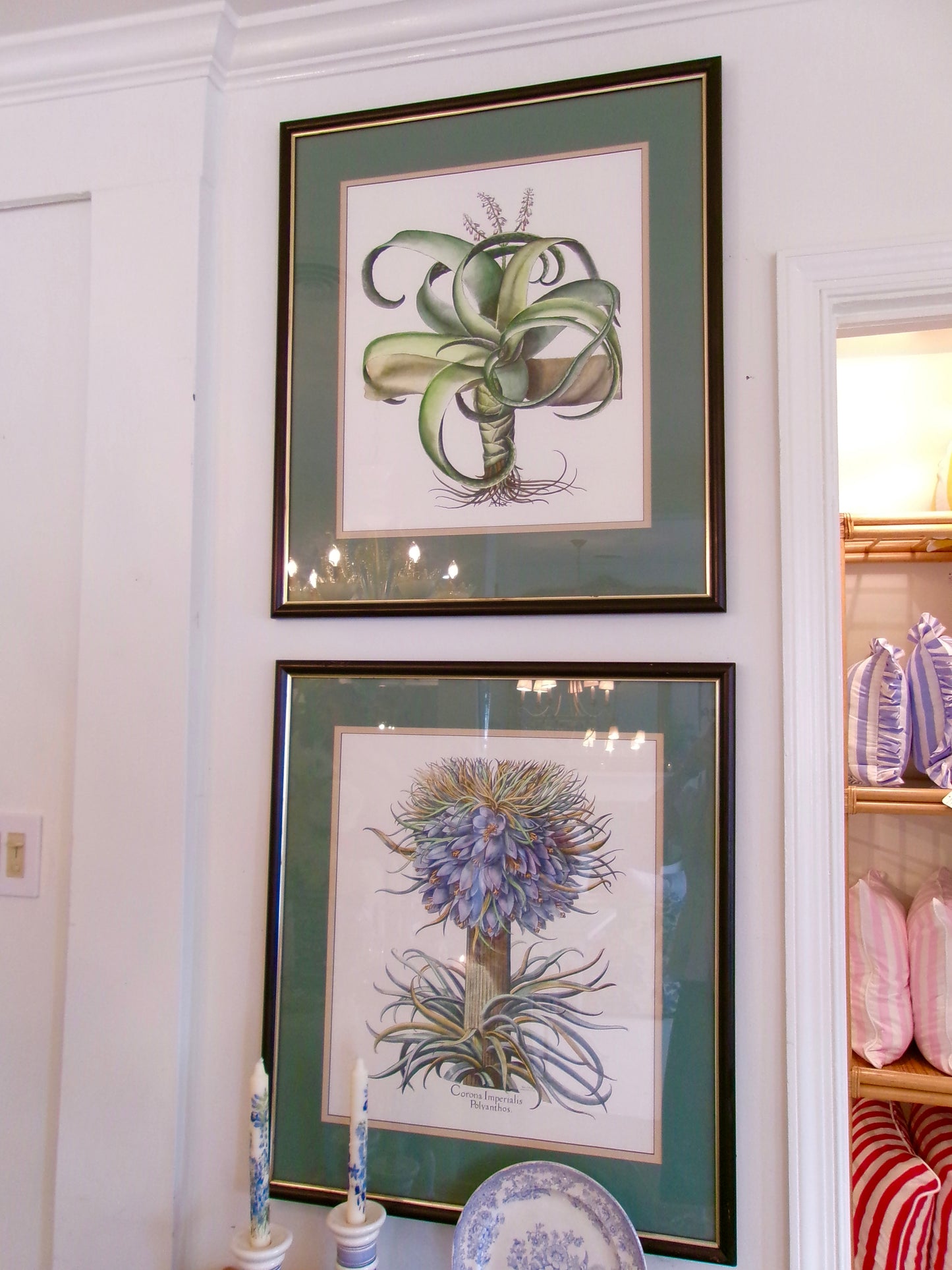Large Pair of Framed Green Botanicals