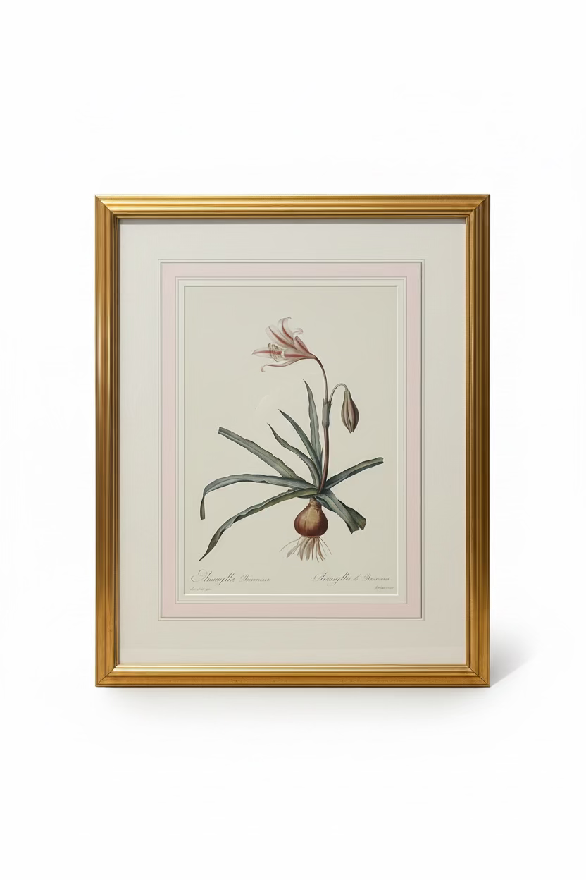 Set of 3 Vintage Botanical Prints in Gilt Frames