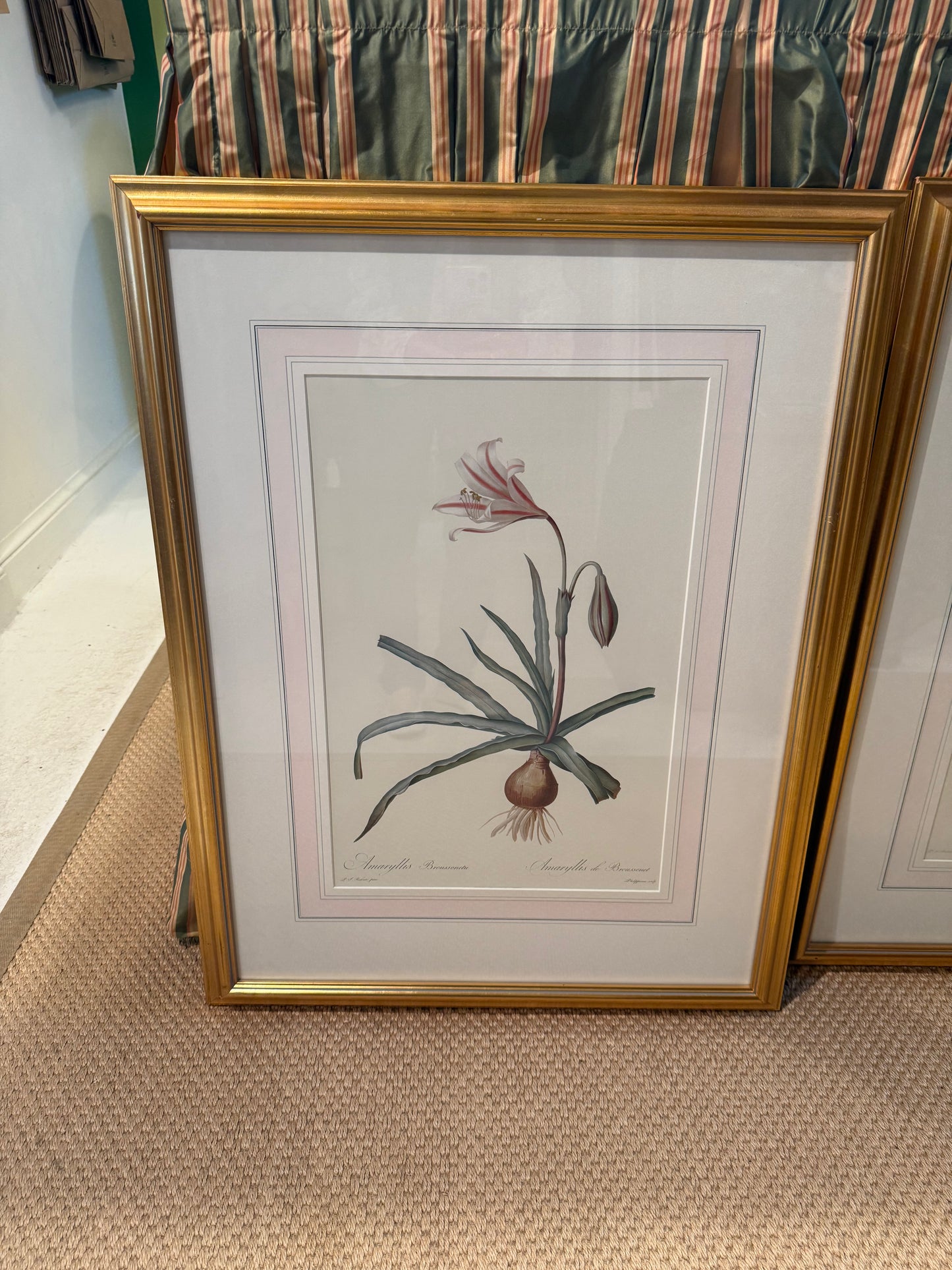 Set of 3 Vintage Botanical Prints in Gilt Frames