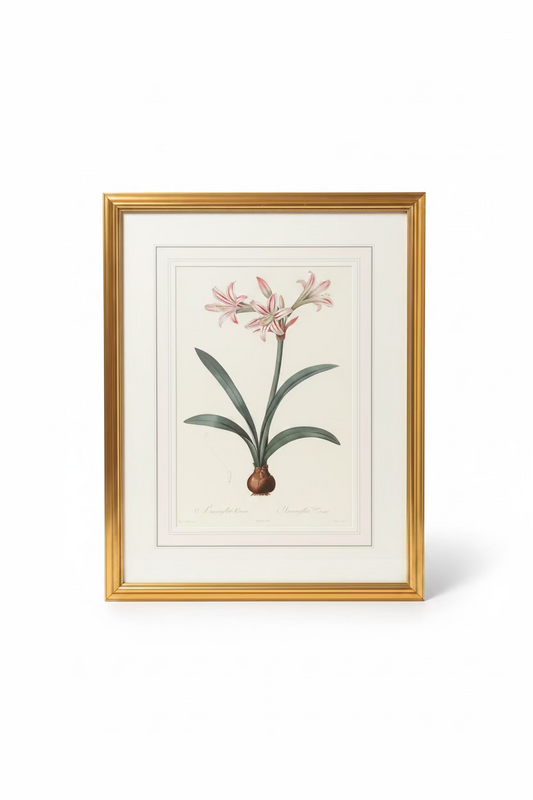Set of 3 Vintage Botanical Prints in Gilt Frames