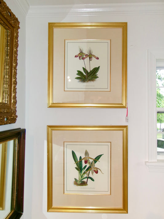 Pair of Large Botanical Framed Art