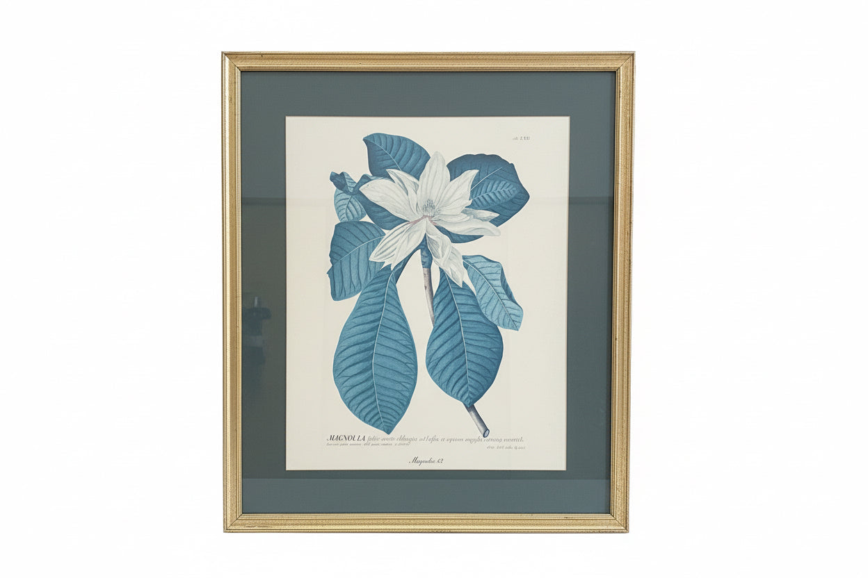 Vintage Magnolia Botanical Prints  in Gilt Frame- a pair