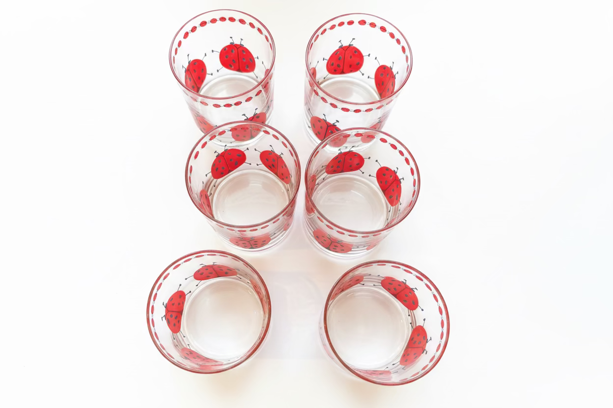 Georges Briard Ladybug Cocktail Glasses — Set of 6